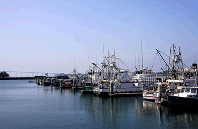 青島海運業(yè)務(wù)知識干貨