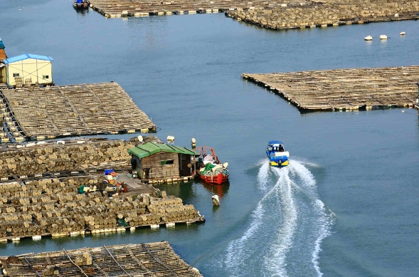 天津貨代行業(yè)在發(fā)展過程中，逐漸形成了獨(dú)特的服務(wù)特色和優(yōu)勢