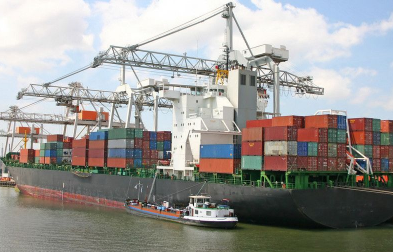 公認進口報關代理公司會采取哪些措施來確保報關服務的專業(yè)性？