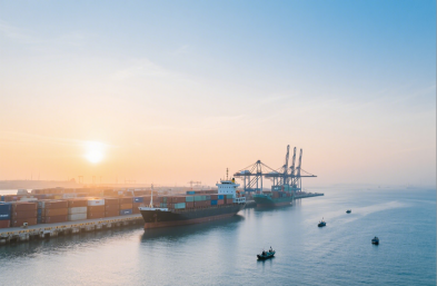 服裝進(jìn)口有高招，國(guó)際海運(yùn)貨代來(lái)助力